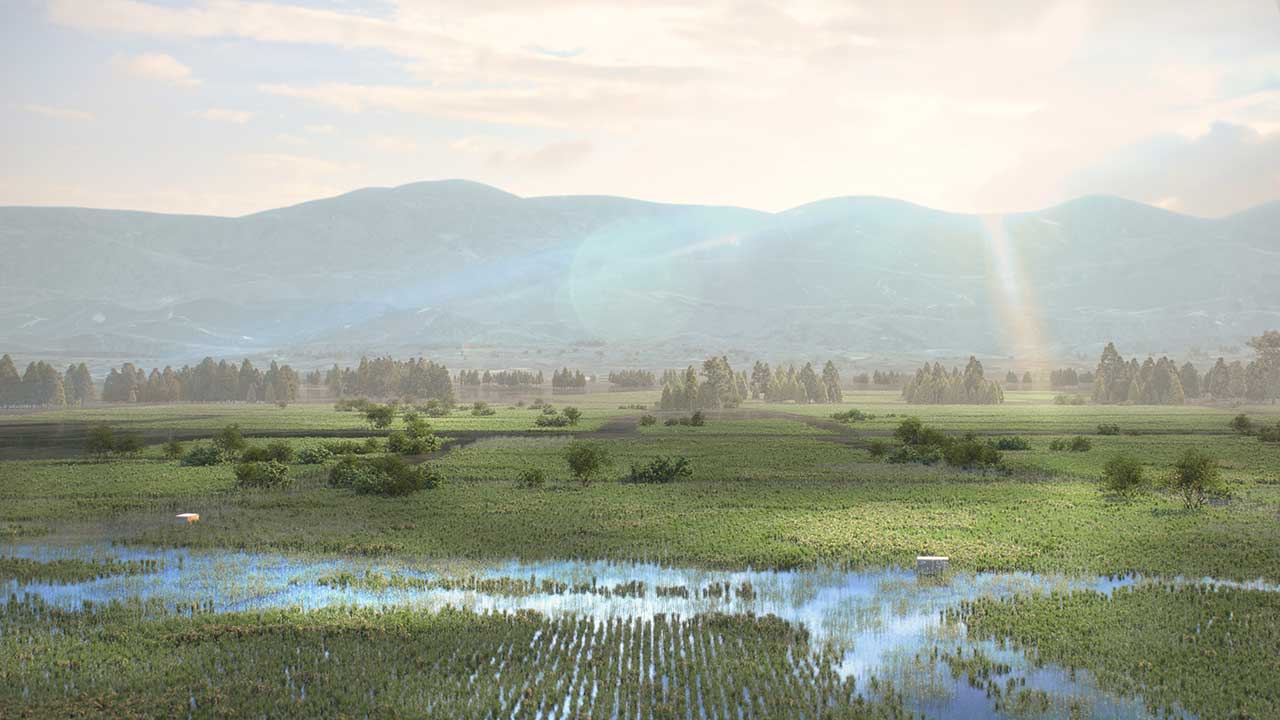 Rice paddy landscape